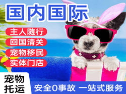 张孝航空运输国际宠物托运 【国